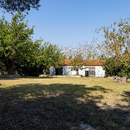Sonora - Beachfront, Amazing Garden, Panoramic Sea View Villa Polychrono