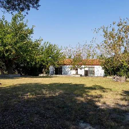 Sonora - Beachfront, Amazing Garden, Panoramic Sea View Villa Políhrono