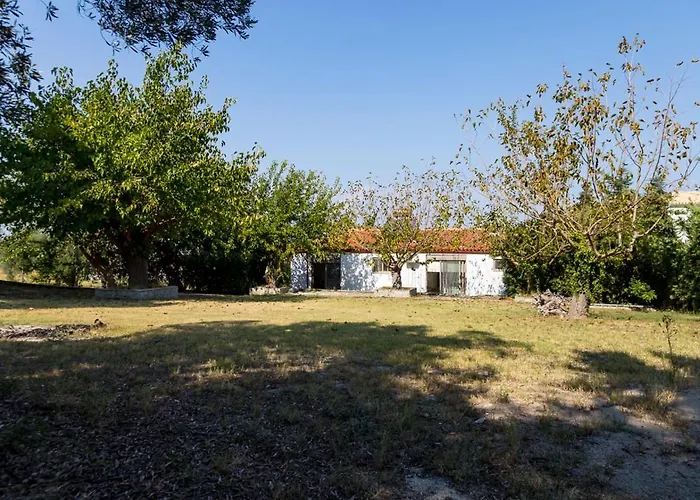 Sonora - Beachfront, Amazing Garden, Panoramic Sea View Villa Polychrono